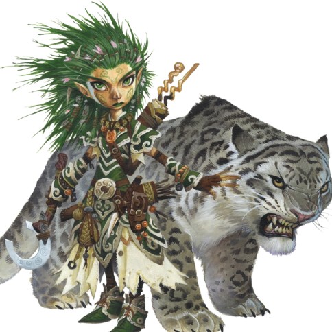 Druid