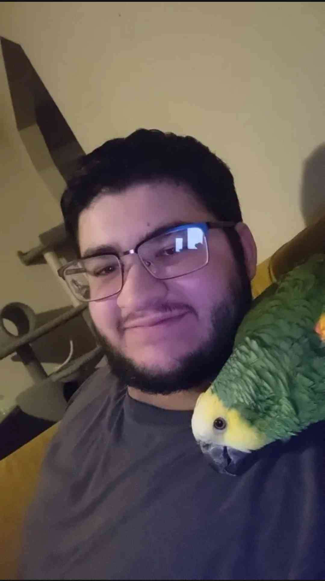 Professional Game Master Zan StartPlaying